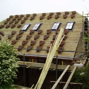 roofing - Clay Plain Titles - Saltdean